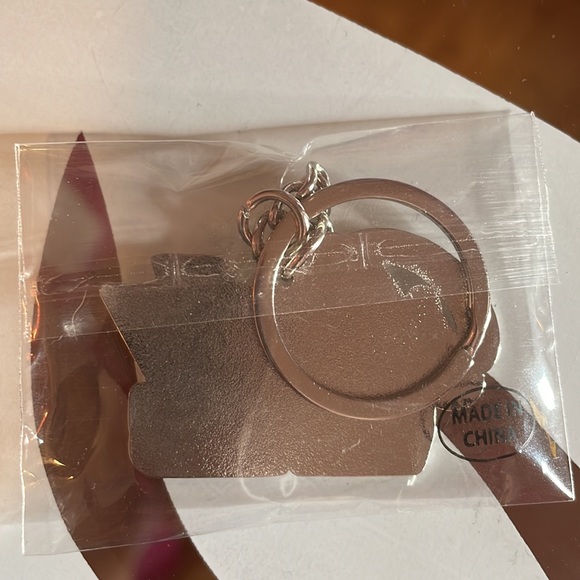 “Pretty on the left, right, and in the west wing” Alpha Kappa Alpha Keychain - Picture 2 of 2